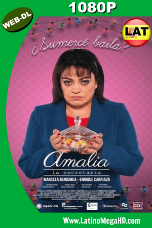 Amalia La Secretaria (2018) Latino HD WEB-DL 1080p ()